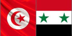   سقوط الأسد من منظور تونسي: عودة الأدلجة؟ بقلم خير الدين باشا